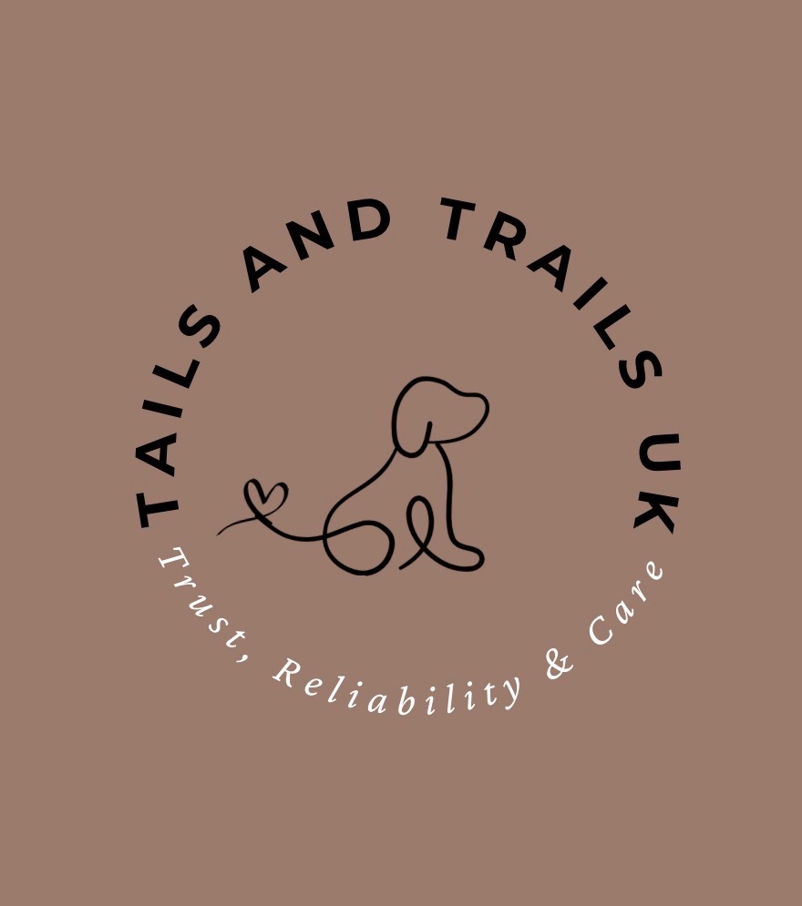 Dog walking services Dinas powys vale of glamorgan