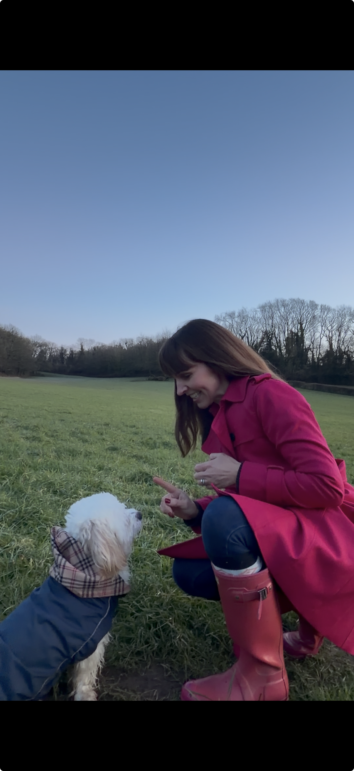 a dog walker training her dog in Dinas Powys woods