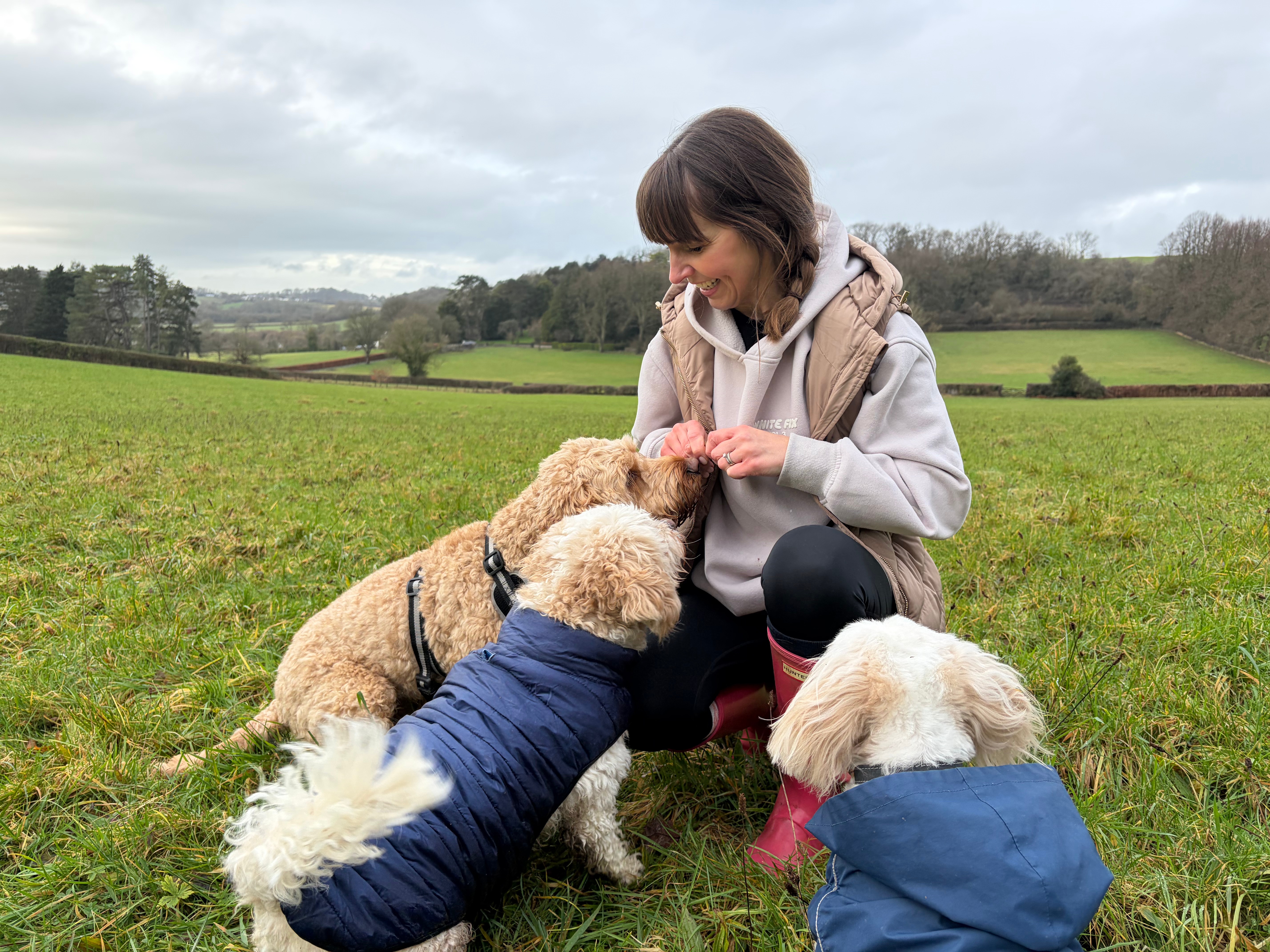 Dog walking in Dinas Powys group walking. Professional dog walker looking after her dogs